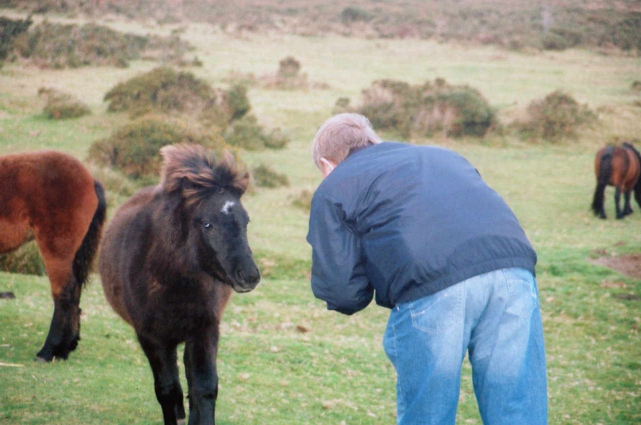 A and M on Dartmoor with ponies